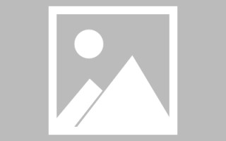 泸州枣庄校服网站建设招标（枣庄学院招标公告）